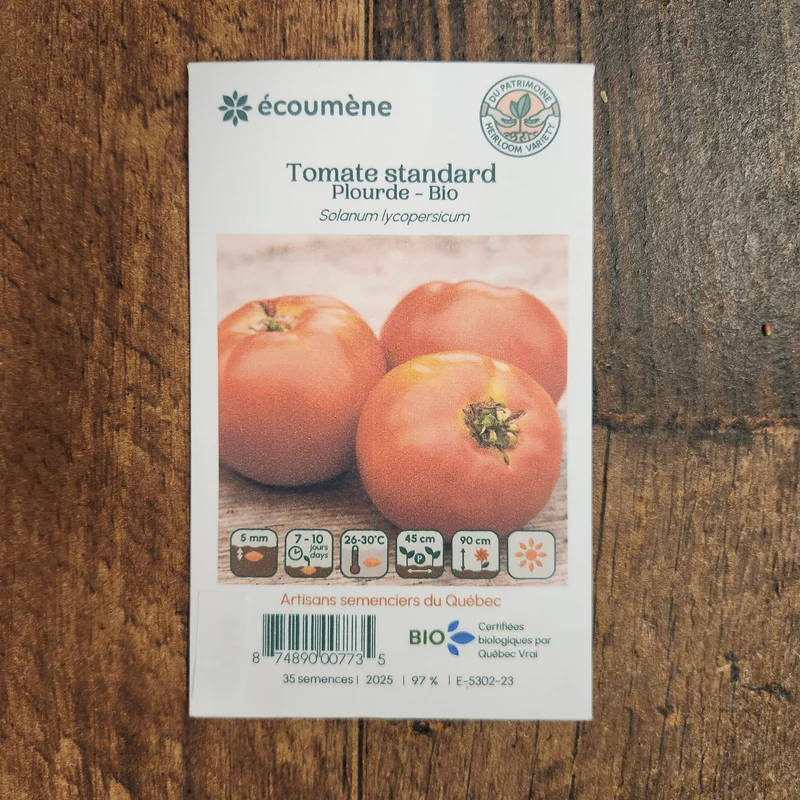 Tomate ‘Plourde’ ( Solanum lycopersicum )
