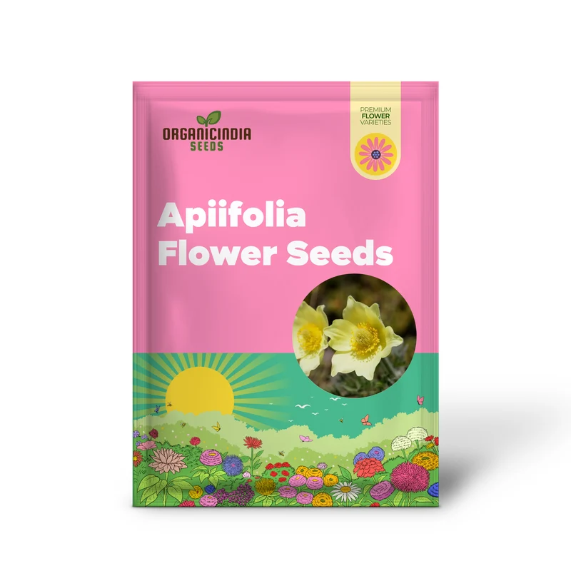 Pulsatilla Alpina Apiifolia Flower Seeds For Planting, Alpine Beauty with Delicate Blooms for Your Garden