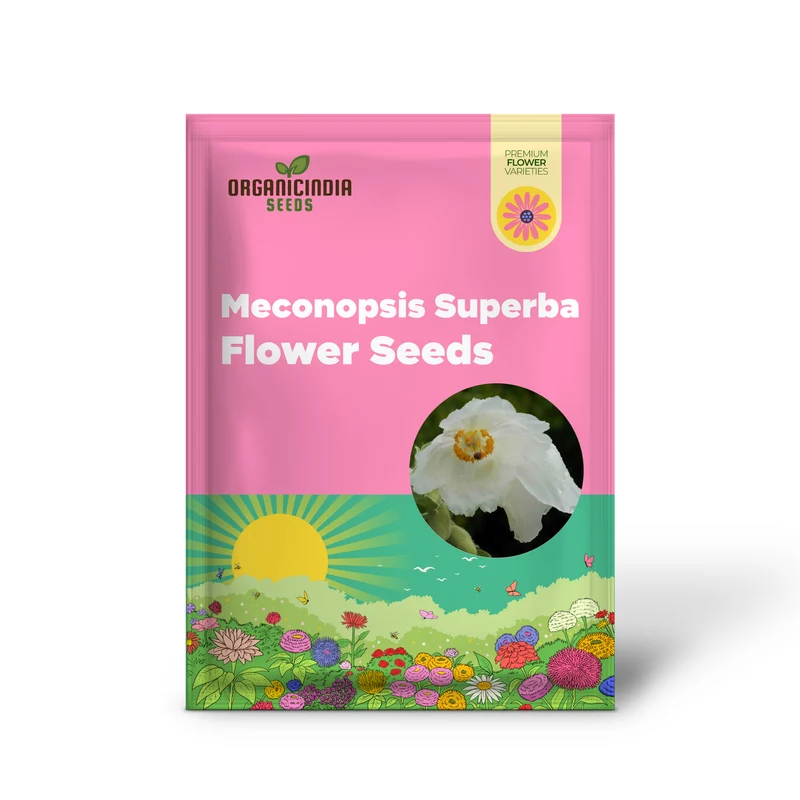 Meconopsis Superba Flower Seeds for Planting, Stunning Blue Himalayan Poppy Seeds for Gardening