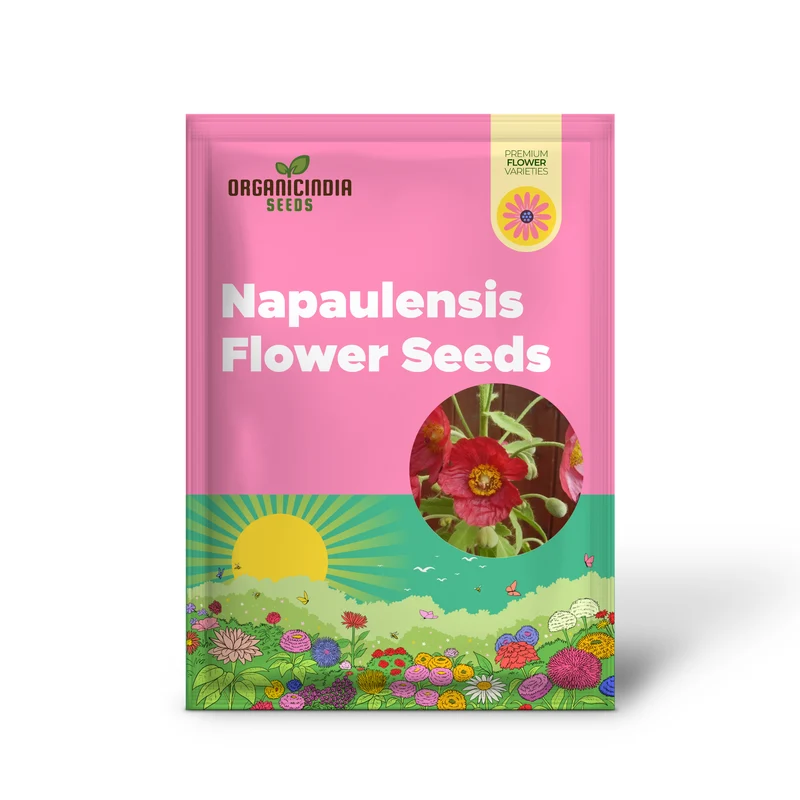 Meconopsis Napaulensis Flower Seeds for Planting, Rare and Beautiful Himalayan Blue Poppy Seeds for Gardening