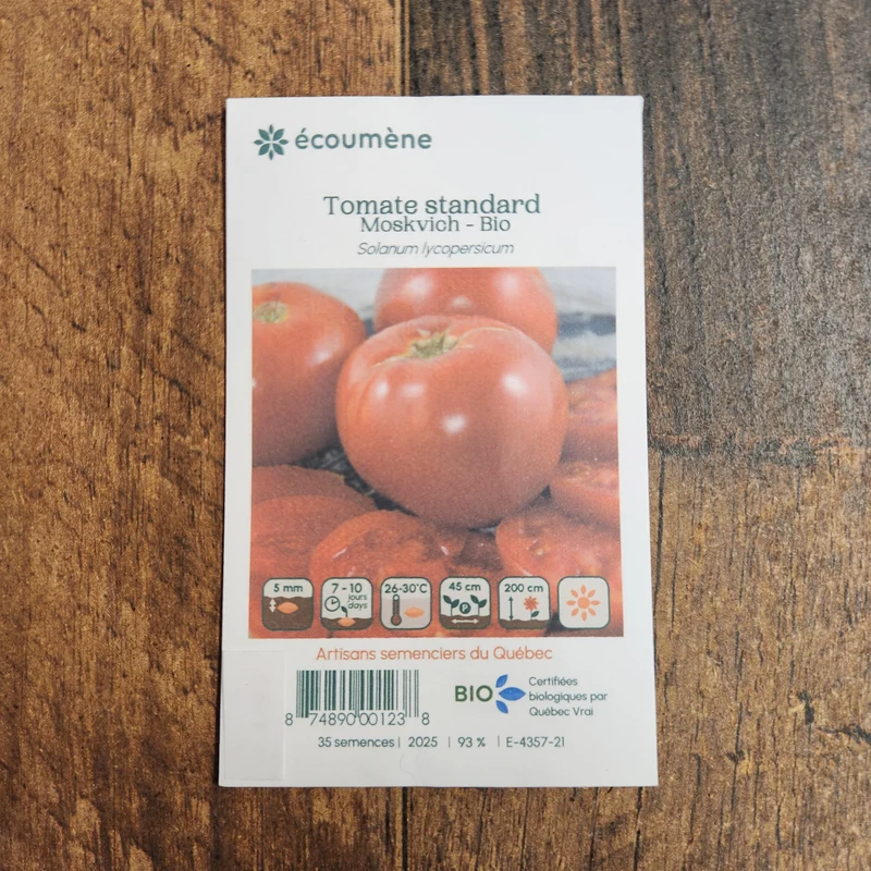 Tomate ‘Moskvich’ ( Solanum lycopersicum )