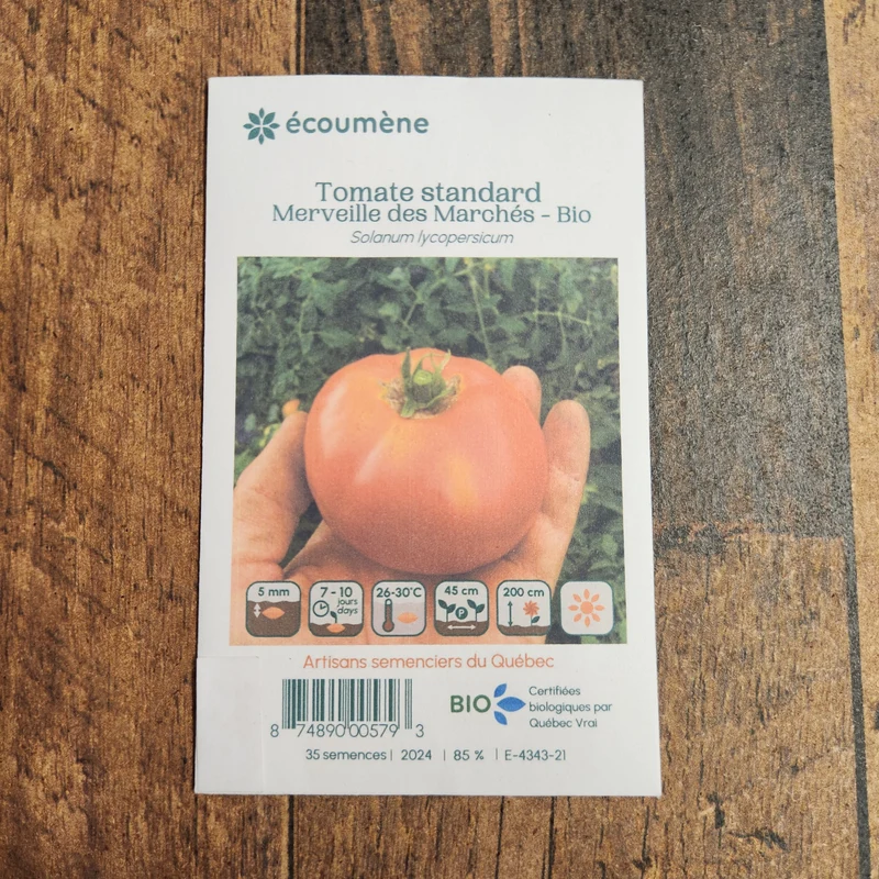 Tomate ‘Merveille des Marchés’ ( Solanum lycopersicum )