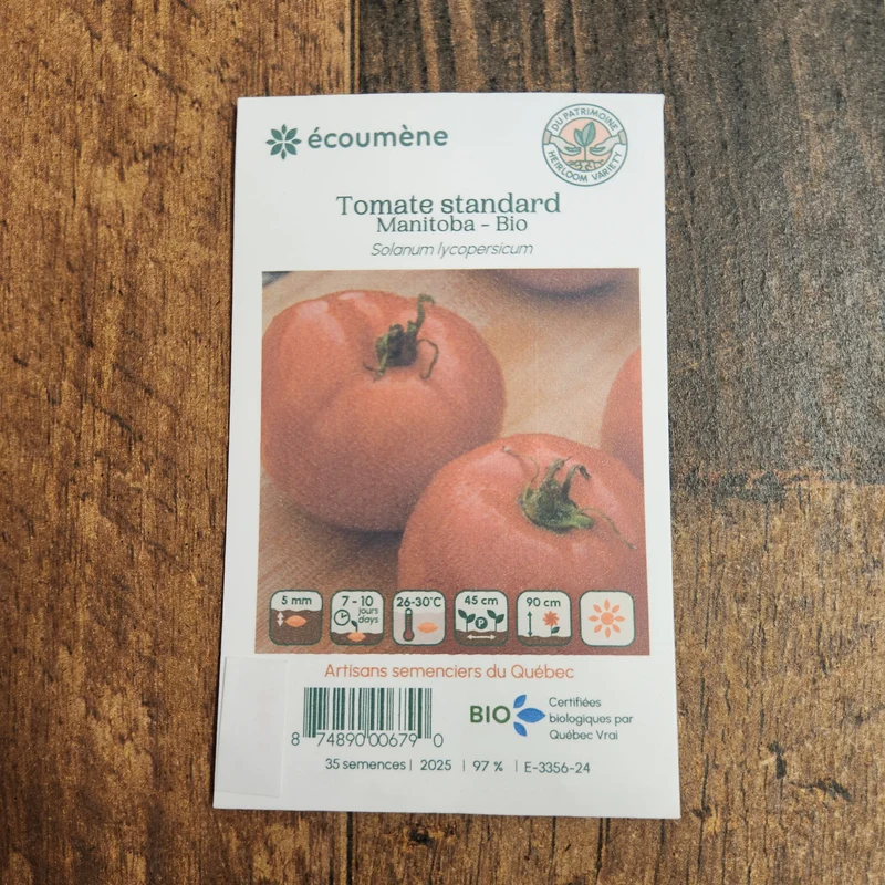 Tomate ‘Manitoba’ ( Solanum lycopersicum )