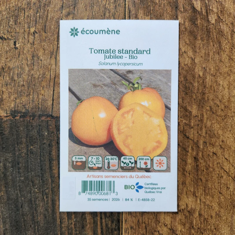 Tomate ‘Jubilee’ ( Solanum lycopersicum )