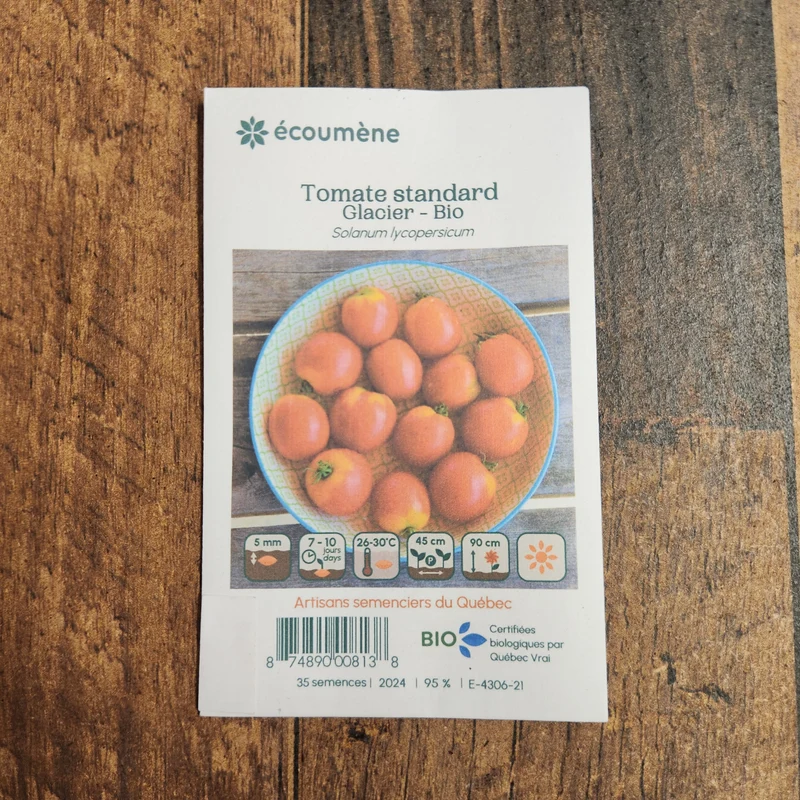 Tomate ‘Glacier’ ( Solanum lycopersicum )