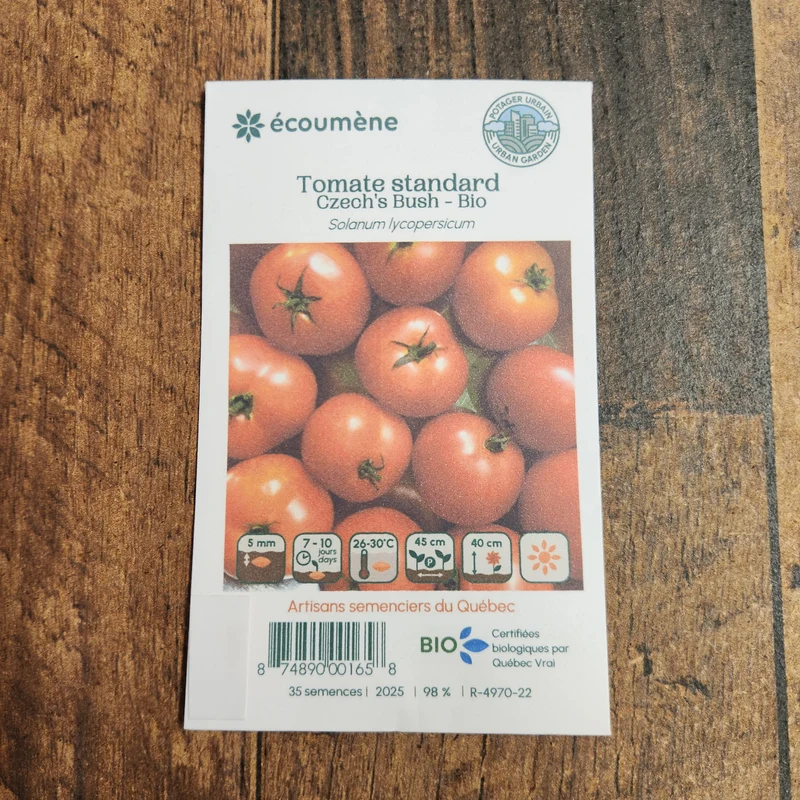 Tomate ‘Czech’s Bush’ ( Solanum lycopersicum )