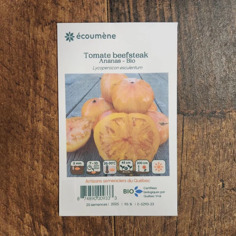 Tomate Beefsteak ‘Ananas’ ( Solanum lycopersicum )