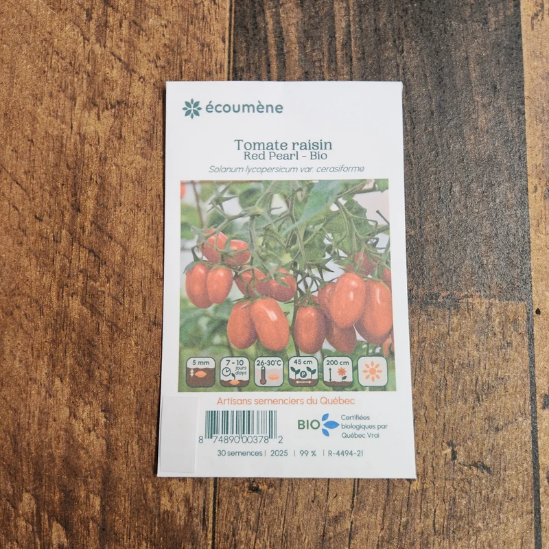 Tomate Raisin ‘Red Pearl’ ( Solanum lycopersicum )