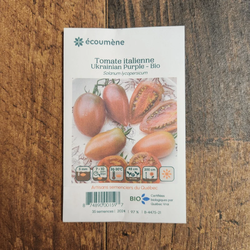 Tomate Italienne ‘Ukrainian Purple’ ( Solanum lycopersicum )