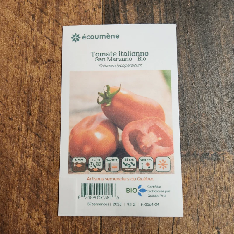 Tomate Italienne ‘San Marzano’ ( Solanum lycopersicum )