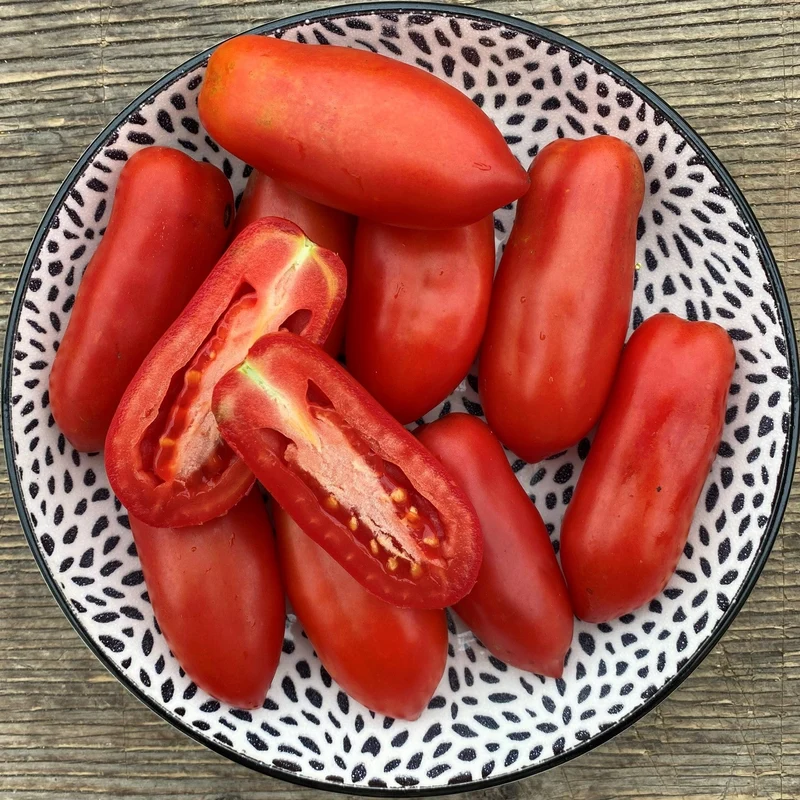 Tomate Italienne ‘Dix doigts de Naples’ ( Solanum lycopersicum )