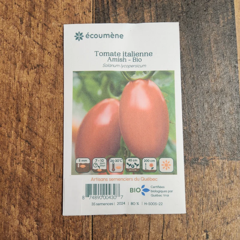 Tomate Italienne ‘Amish’ ( Solanum lycopersicum )