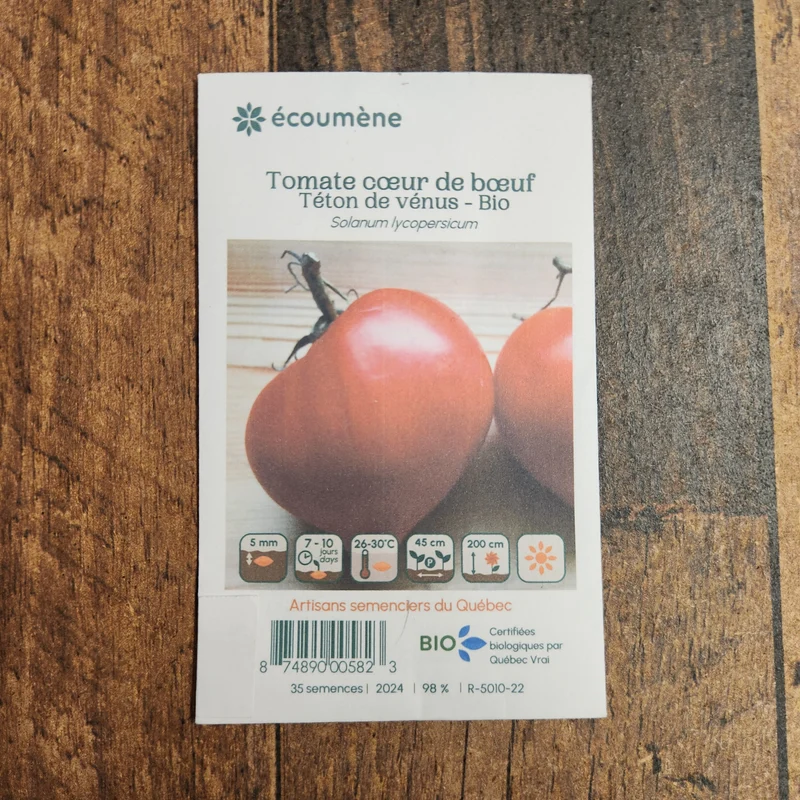 Tomate Cœur de Bœuf ‘Téton de Vénus’ ( Solanum lycopersicum )