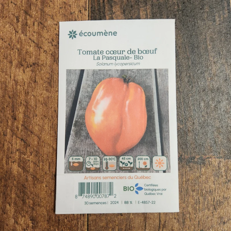 Tomate Cœur de Bœuf ‘La Pasquale’ ( Solanum lycopersicum )