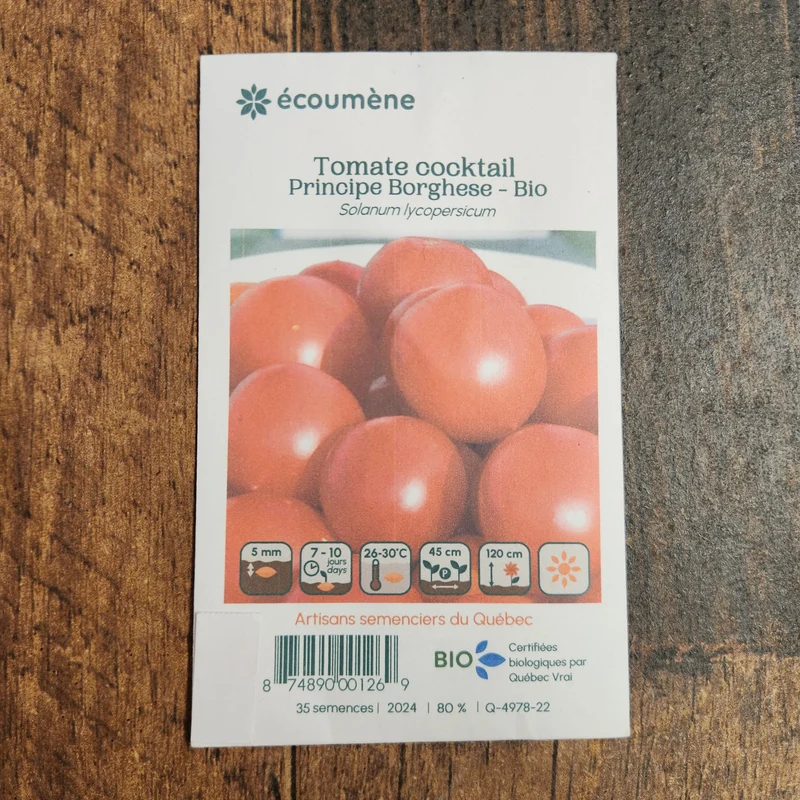 Tomate Cocktail ‘Principe Borghese’ ( Solanum lycopersicum )