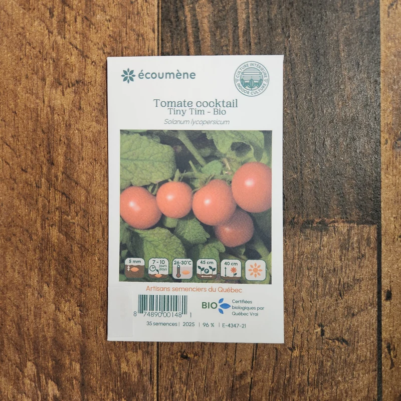 Tomate Cocktail ‘Tiny Tim’ ( Solanum lycopersicum )
