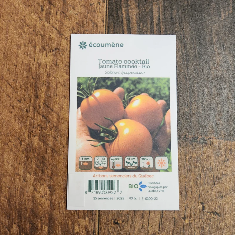 Tomate Cocktail ‘Jaune Flammée’ ( Solanum lycopersicum )