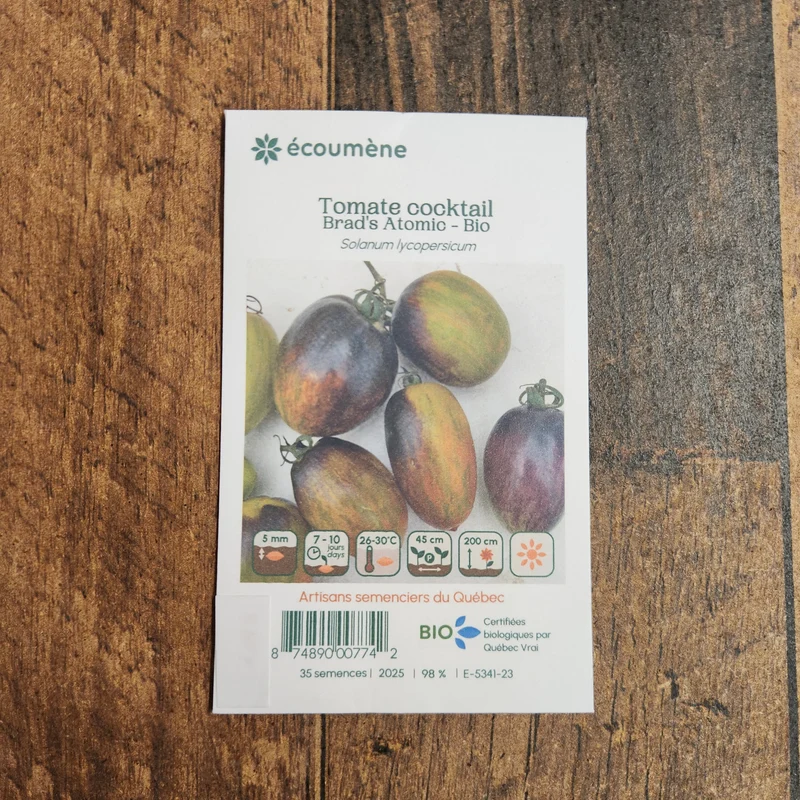 Tomate Cocktail ‘Brad’s Atomic’ ( Solanum lycopersicum )