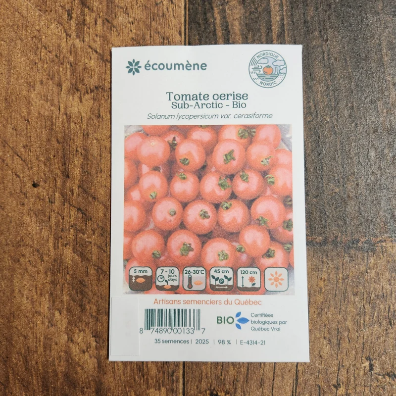 Tomate Cerise ‘Sub-Arctic’ ( Solanum lycopersicum )