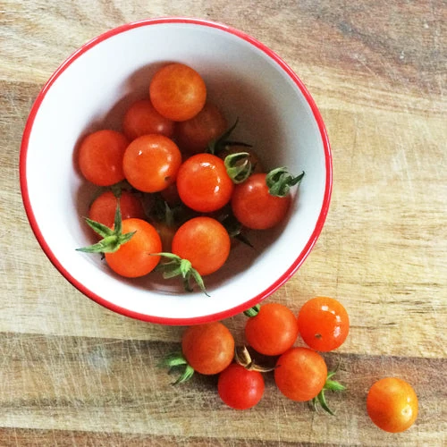 Tomate Cerise ‘Petit Moineau’ ( Solanum lycopersicum )
