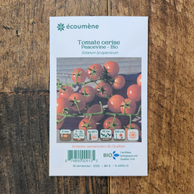 Tomate Cerise ‘Peacevine’ ( Solanum lycopersicum )