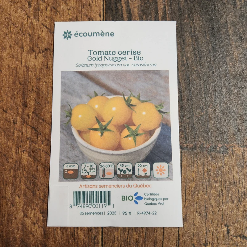 Tomate Cerise ‘Gold Nugget’ ( Solanum lycopersicum )
