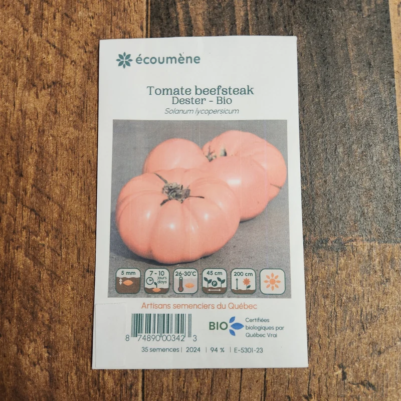 Tomate ‘Beefsteak Dester’ ( Solanum lycopersicum )