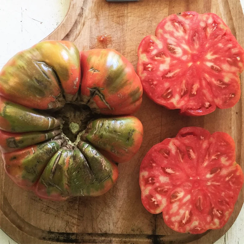 Tomate ‘Beefsteak Adelin Morin’ ( Solanum lycopersicum )