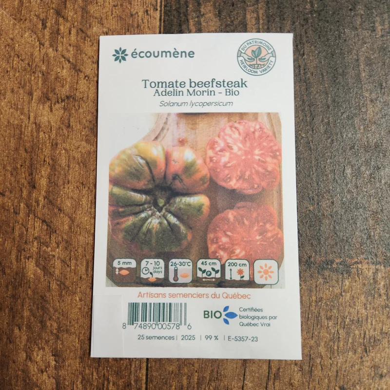 Tomate ‘Beefsteak Adelin Morin’ ( Solanum lycopersicum )