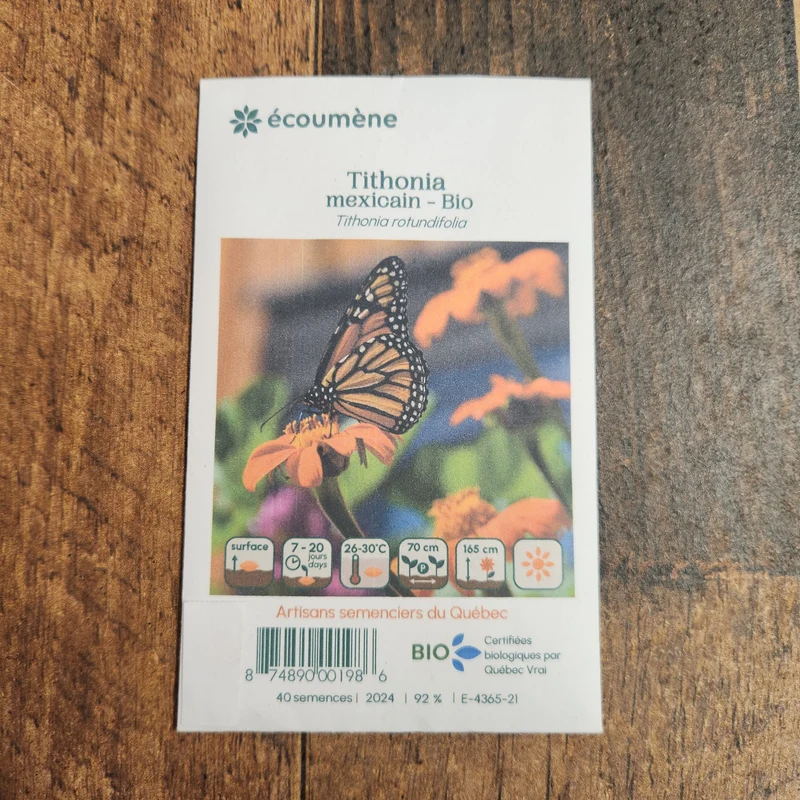 Tithonia Mexicain ( Tithonia rotundifolia )
