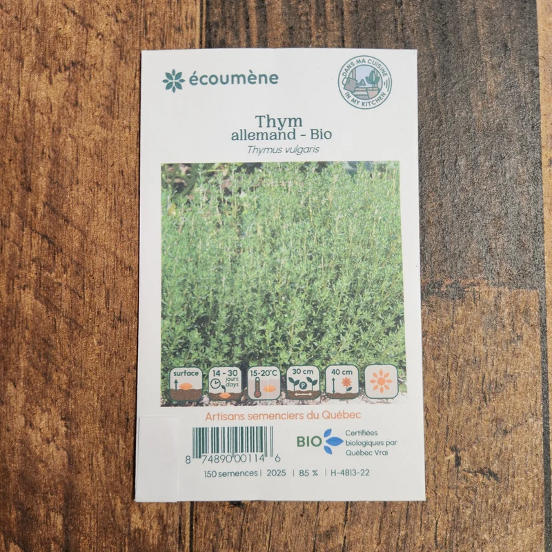 Thym Allemand ( Thymus vulgaris )