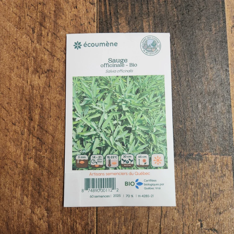 Sauge officinale ( Salvia officinalis )