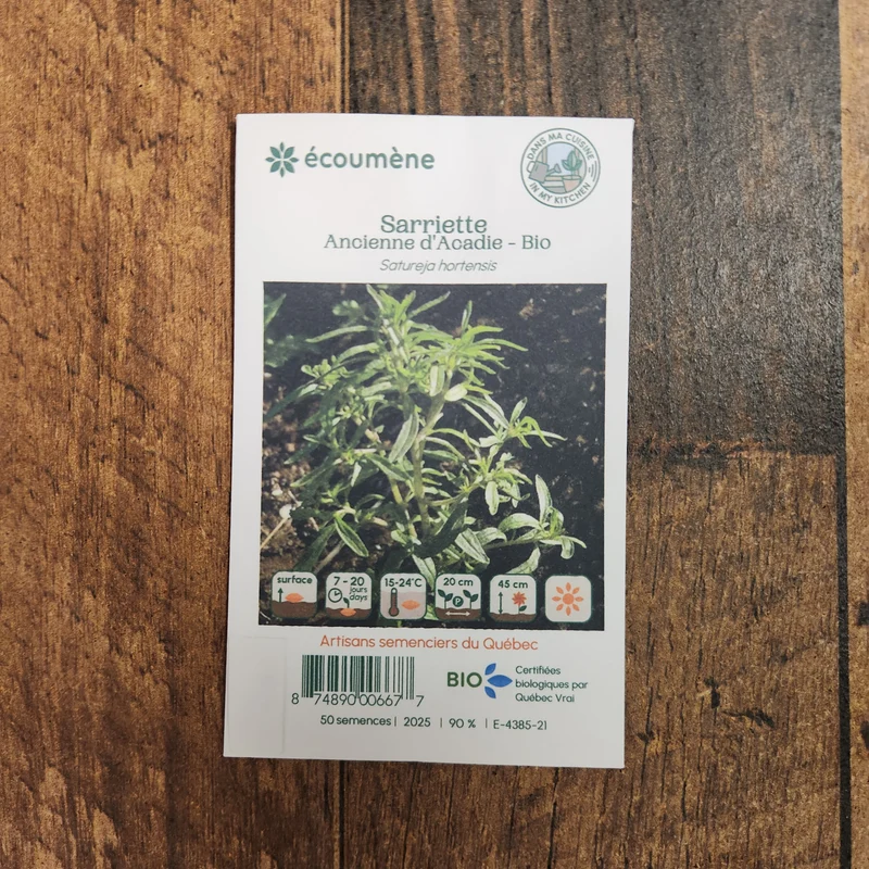 Sarriette ancienne ‘D’Acadie’ ( Satureja hortensis )