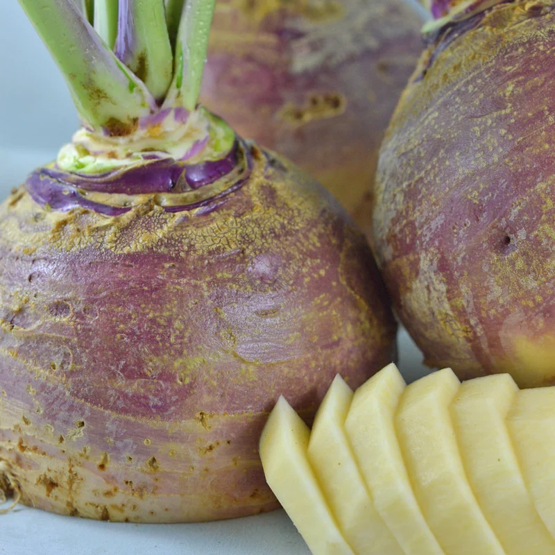 Rutabaga ‘Fortin’ ( Brassica napus var. napobrassica )