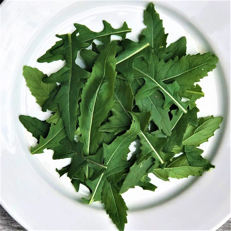 Roquette Japonaise ‘Wasabi’ ( Brassica juncea )