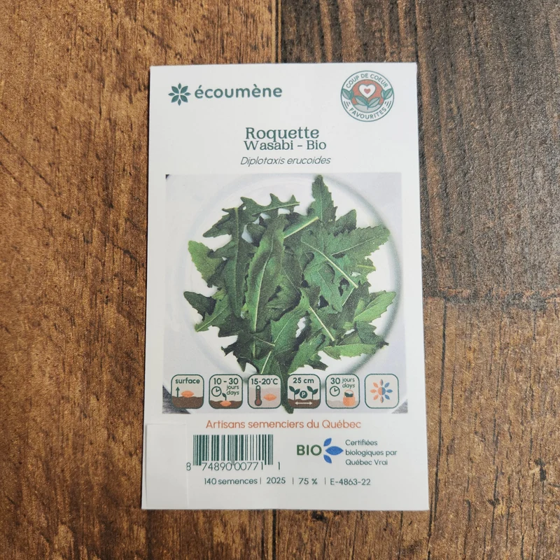 Roquette Japonaise ‘Wasabi’ ( Brassica juncea )
