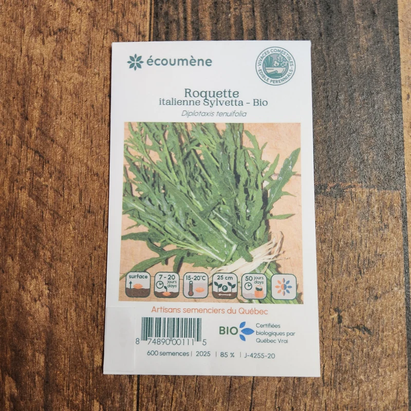 Roquette Italienne ‘Sylvetta’ ( Diplotaxis tenuifolia )