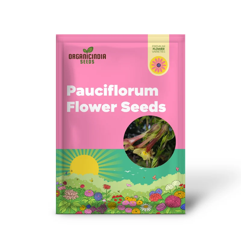 Polemonium Pauciflorum 'Sulphur Trumpets' Seeds for Planting