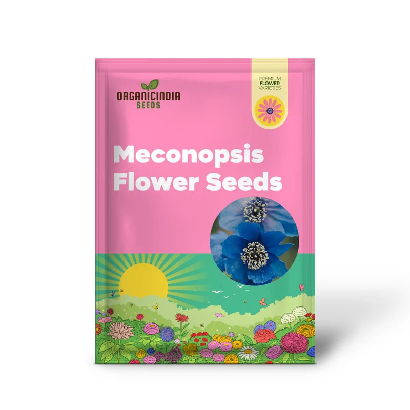 Meconopsis Aculeata Flower Seeds, Rare & Stunning Himalayan Blue Poppies for Gardening, Perfect for Outdoor Gardens