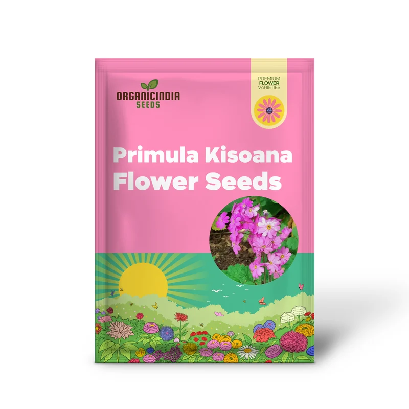 Primula Kisoana Flower Seeds For Planting, Delicate Pink Blooms for Your Garden