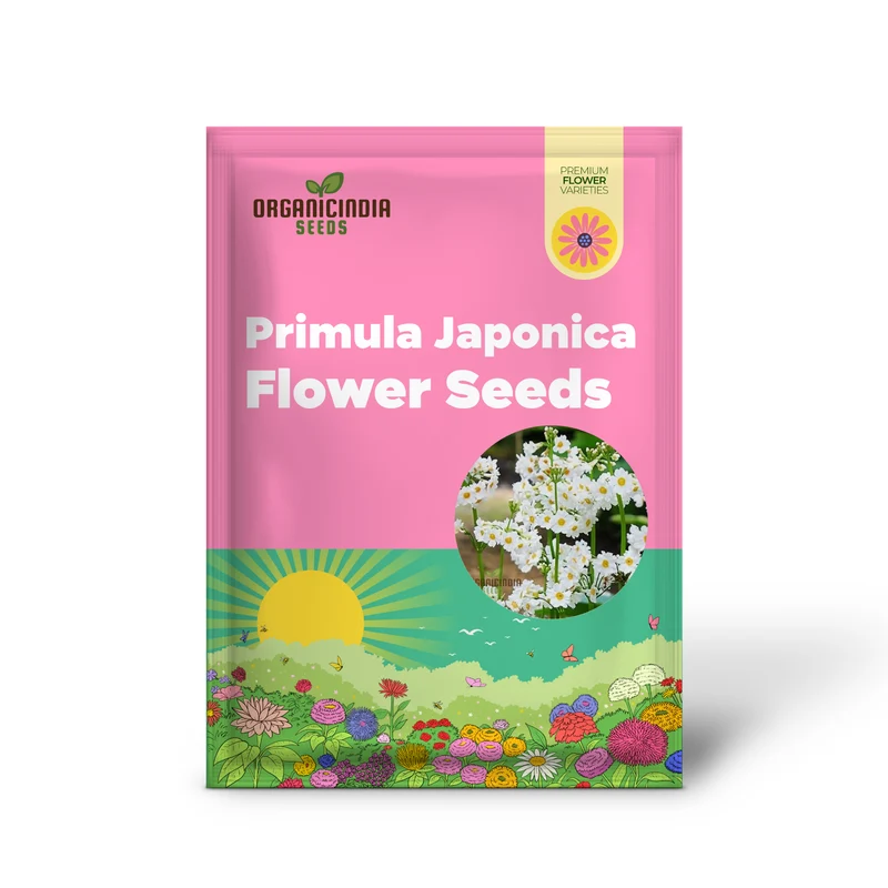 Primula Seeds (Primula Japonica ‘Postford White’ Seeds) - Elegant White Blooms for Gardens