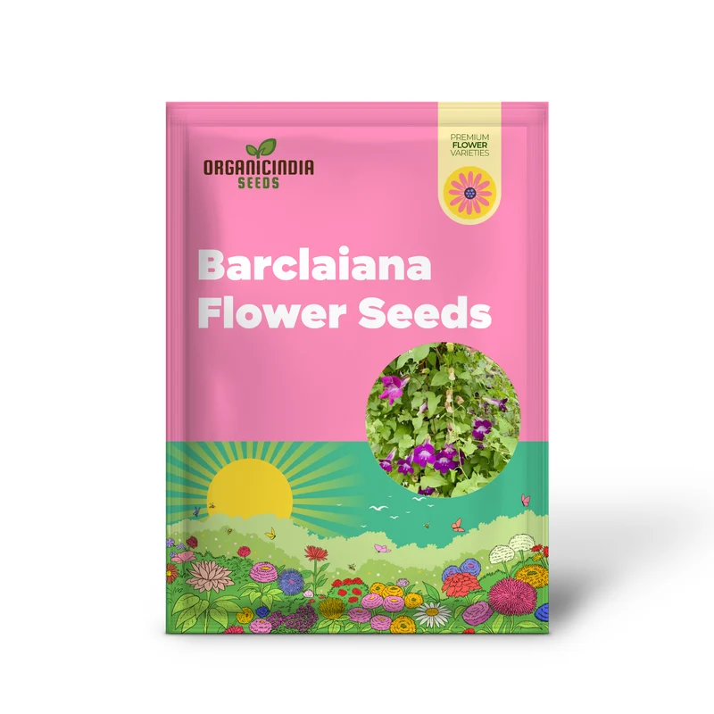 Maurandya Barclaiana Flower Seeds for Planting, Perfect for Gardening
