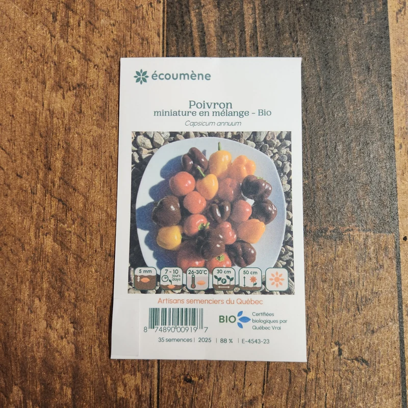 Poivrons Miniatures en mélange ( Capsicum annuum )