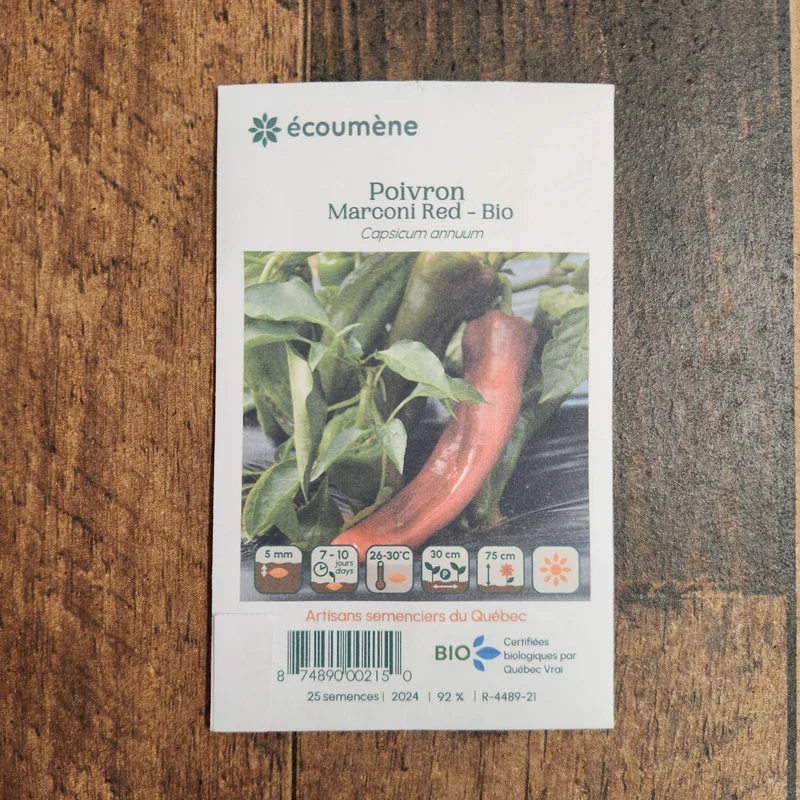 Poivron rouge ‘Marconi Red’ ( Capsicum annuum )