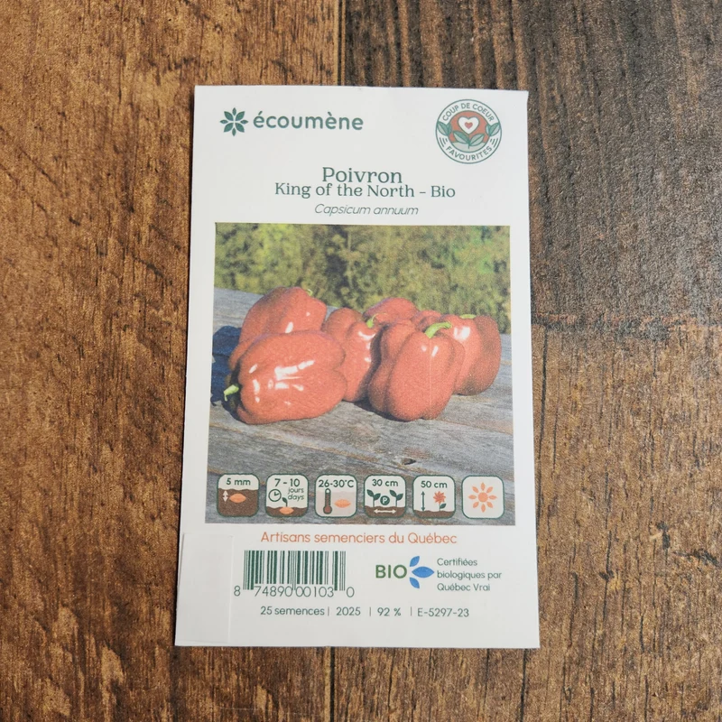 Poivron rouge ‘King of the North’ ( Capsicum annuum )