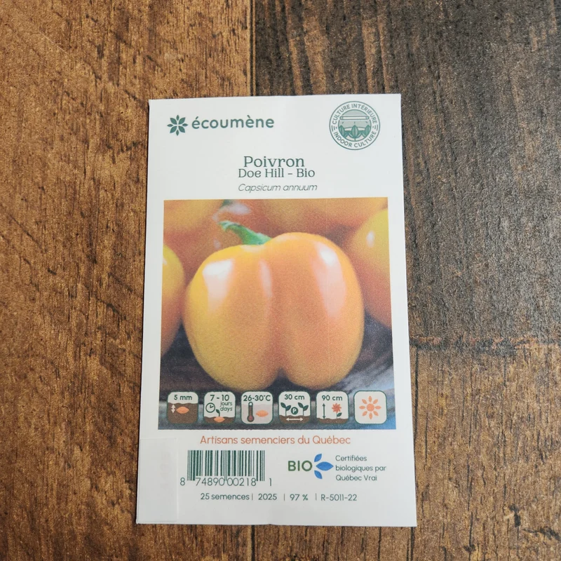 Poivron orange ‘Doe Hill’ ( Capsicum annuum )