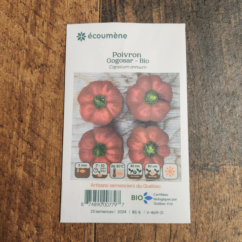 Poivron rouge ‘Gogosar’ ( Capsicum annuum )