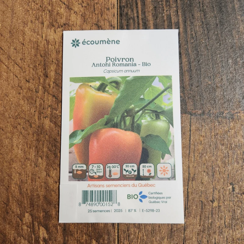 Poivron marbré ‘Antohi Romania’ ( Capsicum annuum )