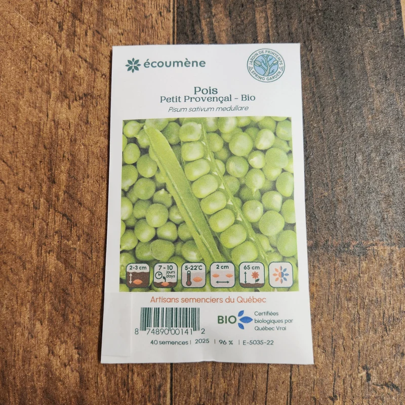 Pois ‘Petit Provençal’ ( Pisum sativum )
