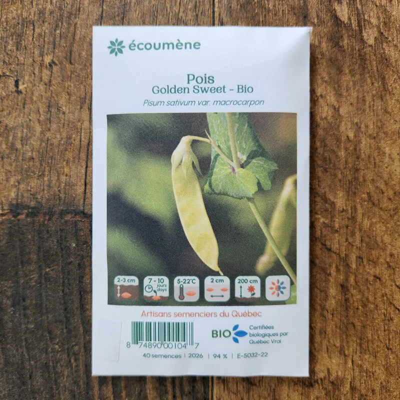 Pois ‘Golden Sweet’ ( Pisum sativum )